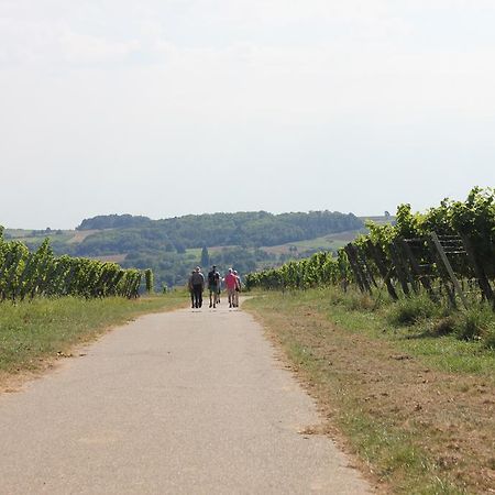 Ferienwohnung Familie Seuferle Schweigen-Rechtenbach Kültér fotó