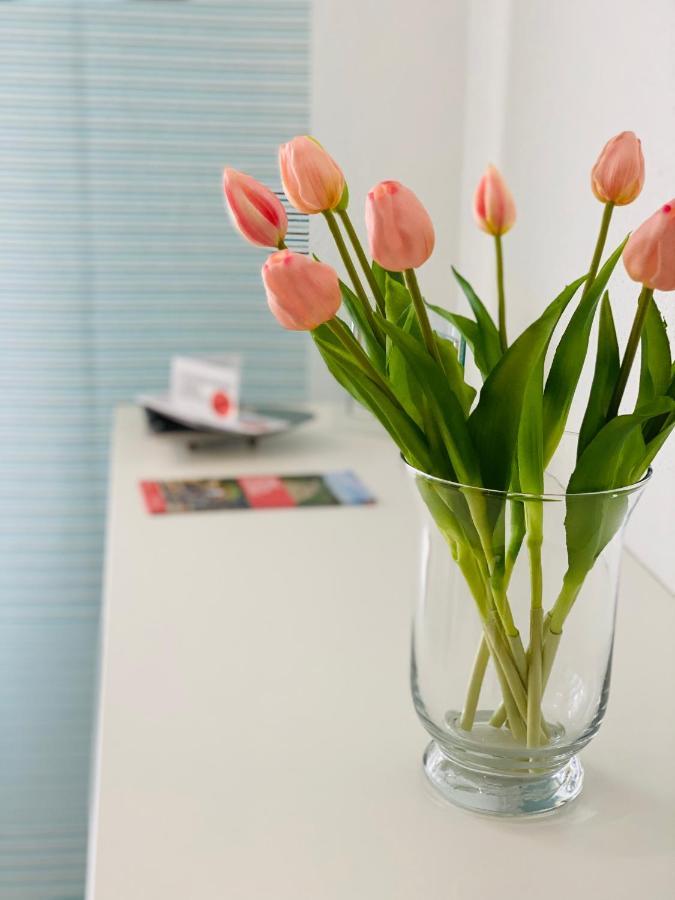 Ferienwohnung Familie Seuferle Schweigen-Rechtenbach Kültér fotó